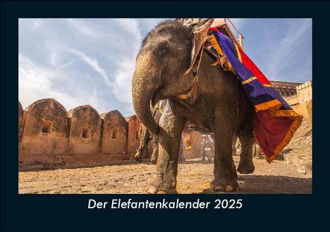 Tobias Becker: Der Elefantenkalender 2025 Fotokalender DIN A5, Kalender