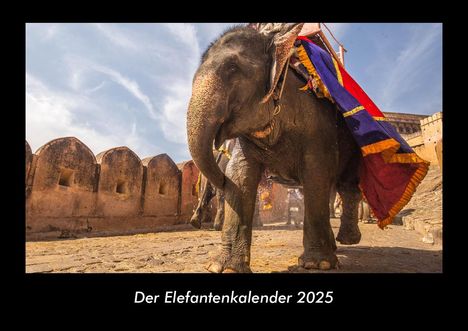 Tobias Becker: Der Elefantenkalender 2025 Fotokalender DIN A3, Kalender