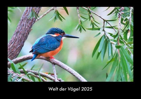 Tobias Becker: Welt der Vögel 2025 Fotokalender DIN A3, Kalender