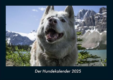 Tobias Becker: Der Hundekalender 2025 Fotokalender DIN A4, Kalender