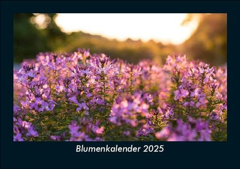 Tobias Becker: Blumenkalender 2025 Fotokalender DIN A5, Kalender