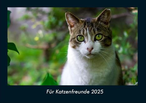 Tobias Becker: Für Katzenfreunde 2025 Fotokalender DIN A4, Kalender