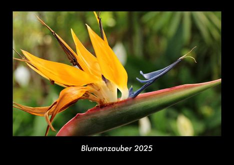 Tobias Becker: Blumenzauber 2025 Fotokalender DIN A3, Kalender