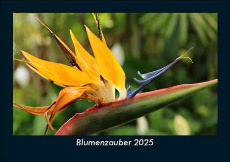 Tobias Becker: Blumenzauber 2025 Fotokalender DIN A5, Kalender