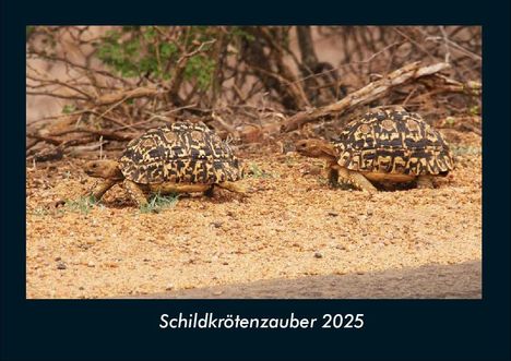 Tobias Becker: Schildkrötenzauber 2025 Fotokalender DIN A4, Kalender