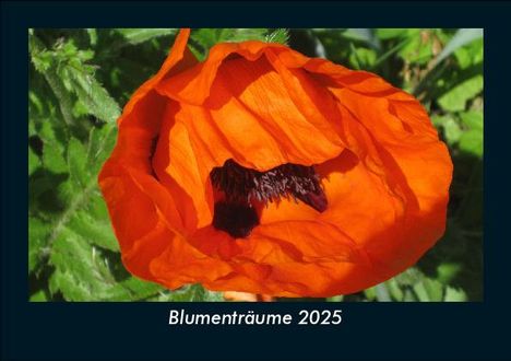 Tobias Becker: Blumenträume 2025 Fotokalender DIN A5, Kalender