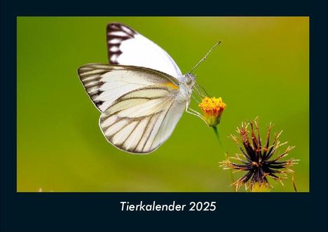 Tobias Becker: Tierkalender 2025 Fotokalender DIN A4, Kalender