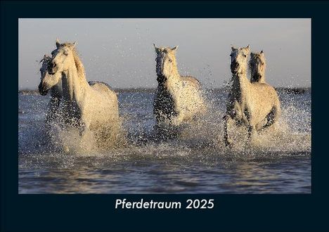 Tobias Becker: Pferdetraum 2025 Fotokalender DIN A5, Kalender