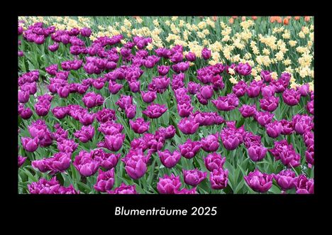 Tobias Becker: Blumenträume 2025 Fotokalender DIN A3, Kalender