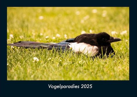 Tobias Becker: Vogelparadies 2025 Fotokalender DIN A4, Kalender