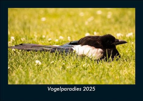 Tobias Becker: Vogelparadies 2025 Fotokalender DIN A5, Kalender