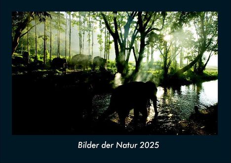 Tobias Becker: Bilder der Natur 2025 Fotokalender DIN A4, Kalender