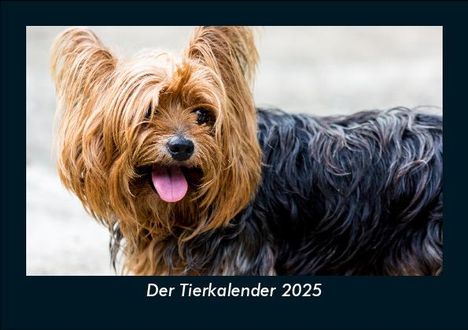 Tobias Becker: Der Tierkalender 2025 Fotokalender DIN A5, Kalender