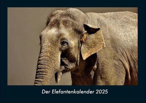 Tobias Becker: Der Elefantenkalender 2025 Fotokalender DIN A4, Kalender