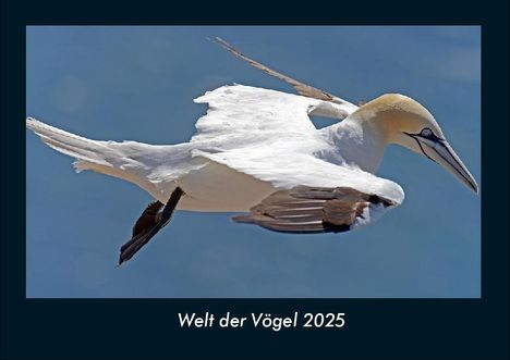 Tobias Becker: Welt der Vögel 2025 Fotokalender DIN A4, Kalender