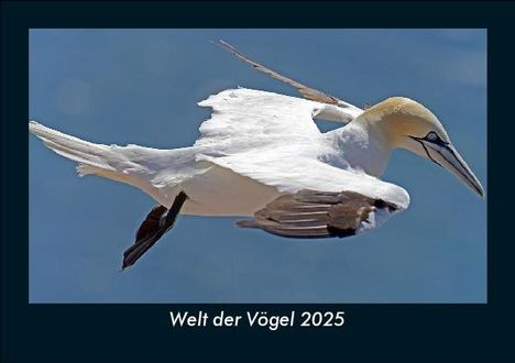 Tobias Becker: Welt der Vögel 2025 Fotokalender DIN A5, Kalender