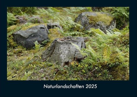 Tobias Becker: Naturlandschaften 2025 Fotokalender DIN A4, Kalender