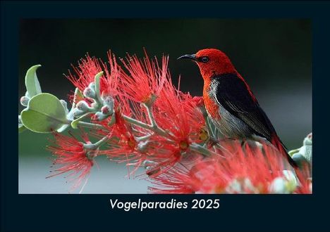 Tobias Becker: Vogelparadies 2025 Fotokalender DIN A5, Kalender