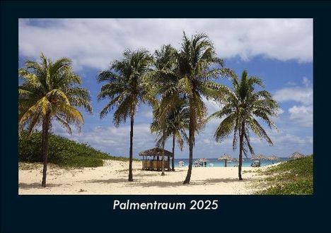 Tobias Becker: Palmentraum 2025 Fotokalender DIN A5, Kalender