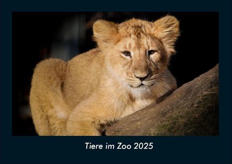 Tobias Becker: Tiere im Zoo 2025 Fotokalender DIN A4, Kalender