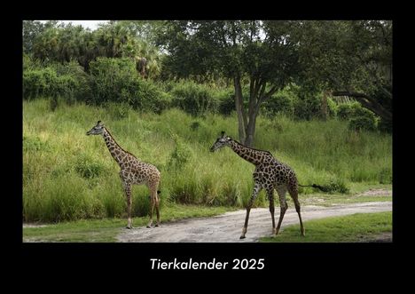 Tobias Becker: Tierkalender 2025 Fotokalender DIN A3, Kalender