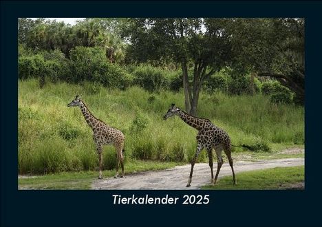 Tobias Becker: Tierkalender 2025 Fotokalender DIN A5, Kalender