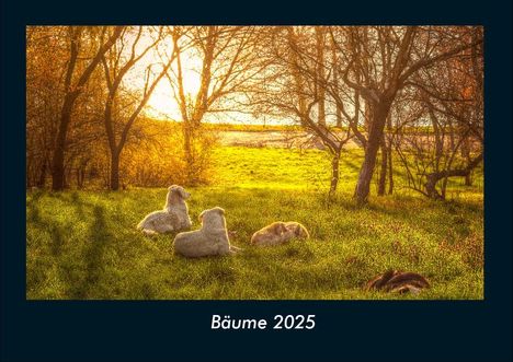 Tobias Becker: Bäume 2025 Fotokalender DIN A4, Kalender