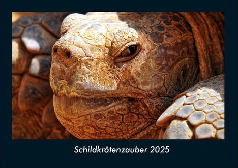 Tobias Becker: Schildkrötenzauber 2025 Fotokalender DIN A4, Kalender