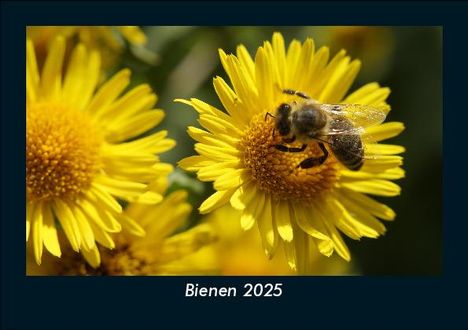 Tobias Becker: Bienen 2025 Fotokalender DIN A5, Kalender