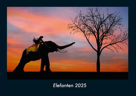 Tobias Becker: Elefanten 2025 Fotokalender DIN A4, Kalender