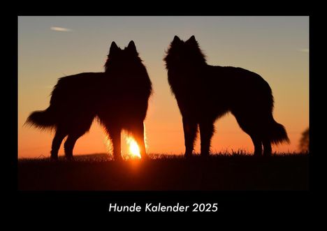 Tobias Becker: Hunde Kalender 2025 Fotokalender DIN A3, Kalender