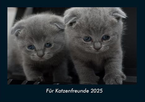 Tobias Becker: Für Katzenfreunde 2025 Fotokalender DIN A4, Kalender