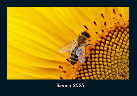 Tobias Becker: Bienen 2025 Fotokalender DIN A4, Kalender