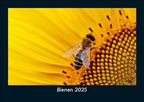 Tobias Becker: Bienen 2025 Fotokalender DIN A5, Kalender