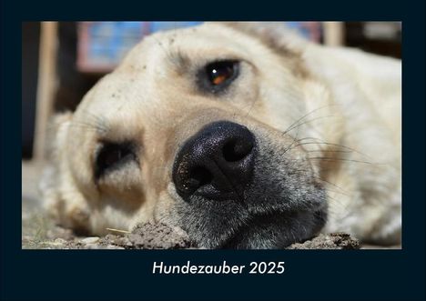 Tobias Becker: Hundezauber 2025 Fotokalender DIN A4, Kalender