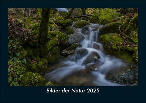 Tobias Becker: Bilder der Natur 2025 Fotokalender DIN A5, Kalender