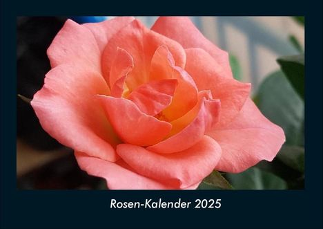 Tobias Becker: Rosen-Kalender 2025 Fotokalender DIN A4, Kalender