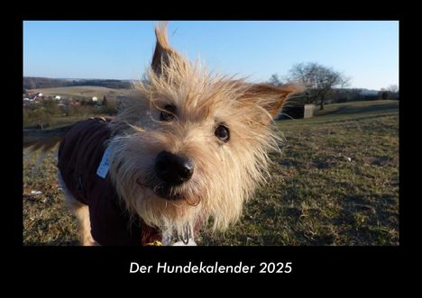 Tobias Becker: Der Hundekalender 2025 Fotokalender DIN A3, Kalender