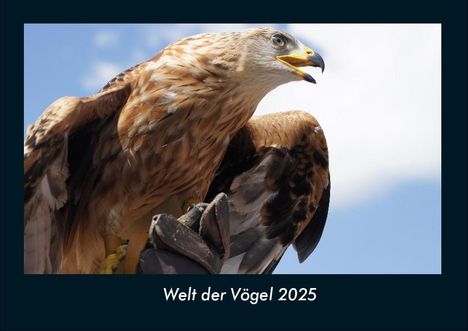 Tobias Becker: Welt der Vögel 2025 Fotokalender DIN A4, Kalender