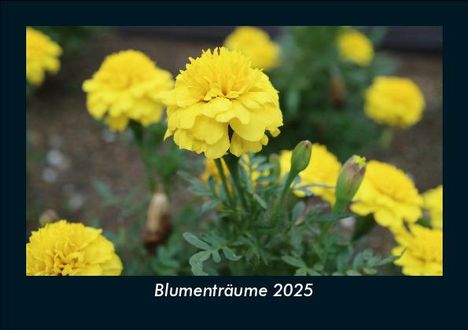 Tobias Becker: Blumenträume 2025 Fotokalender DIN A5, Kalender