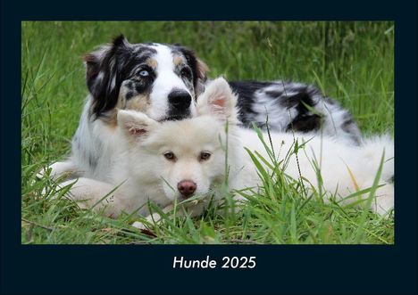 Tobias Becker: Hunde 2025 Fotokalender DIN A4, Kalender