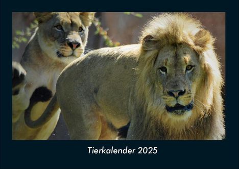 Tobias Becker: Tierkalender 2025 Fotokalender DIN A4, Kalender