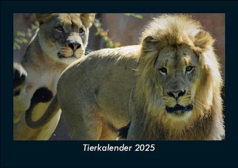 Tobias Becker: Tierkalender 2025 Fotokalender DIN A5, Kalender