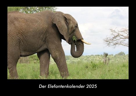 Tobias Becker: Der Elefantenkalender 2025 Fotokalender DIN A3, Kalender