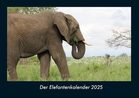 Tobias Becker: Der Elefantenkalender 2025 Fotokalender DIN A4, Kalender