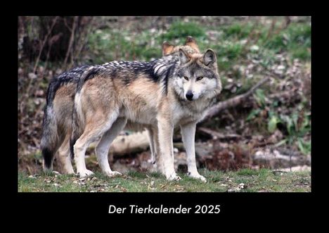 Tobias Becker: Der Tierkalender 2025 Fotokalender DIN A3, Kalender