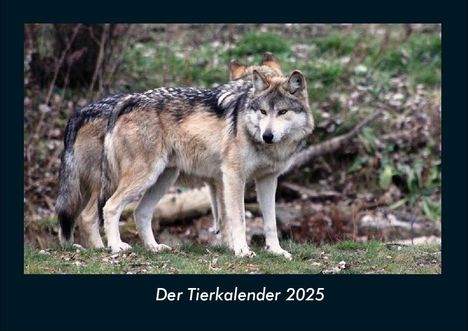 Tobias Becker: Der Tierkalender 2025 Fotokalender DIN A4, Kalender