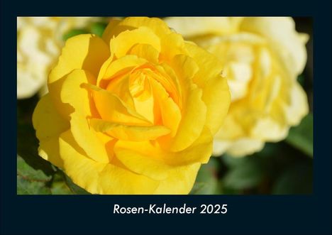 Tobias Becker: Rosen-Kalender 2025 Fotokalender DIN A4, Kalender