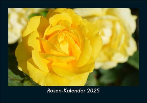 Tobias Becker: Rosen-Kalender 2025 Fotokalender DIN A5, Kalender