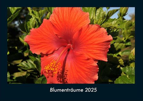 Tobias Becker: Blumenträume 2025 Fotokalender DIN A4, Kalender